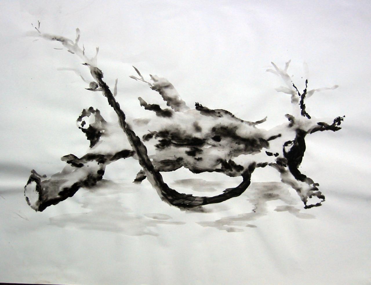 Branches - Lavis encre de chine